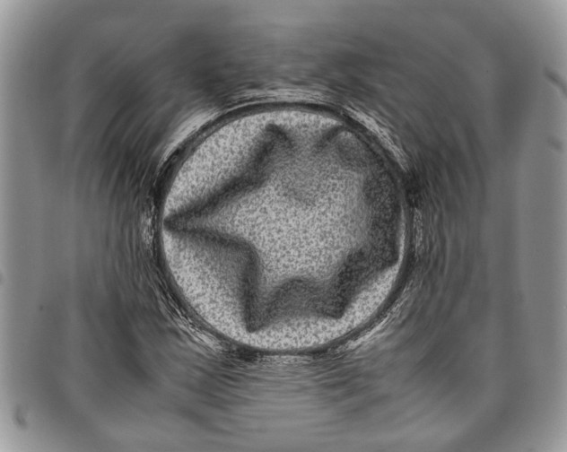 X0000097781163200803281655