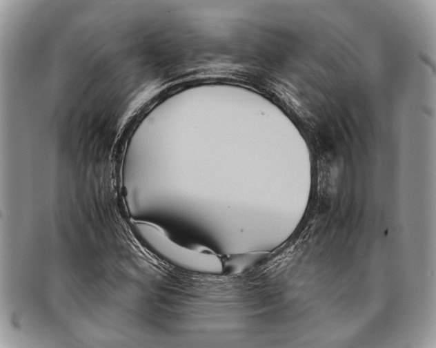 X0000097781164200803281655