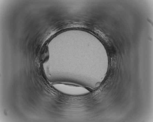 X0000097781165200803281655