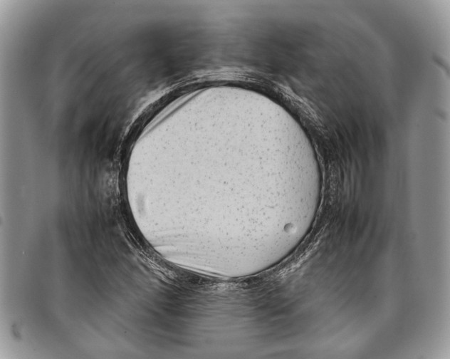 X0000097781166200803281655