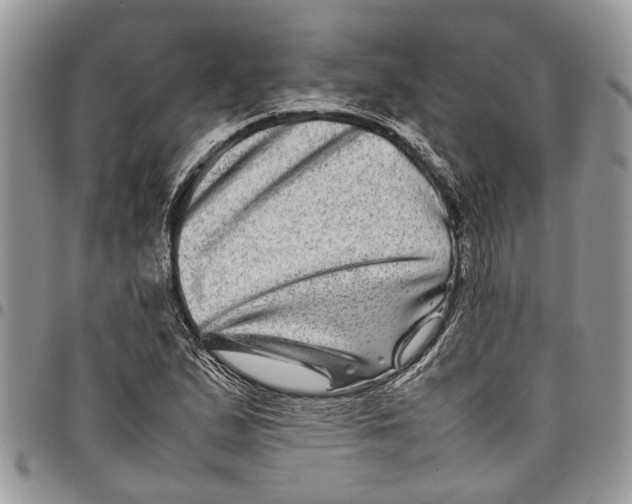 X0000097781167200803281655