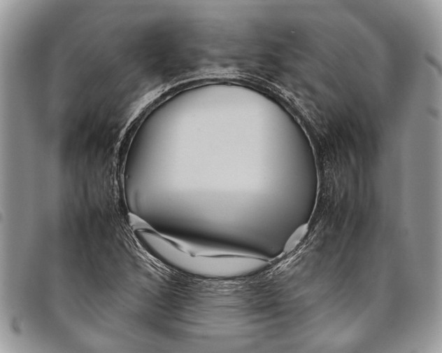 X0000097781168200803281655