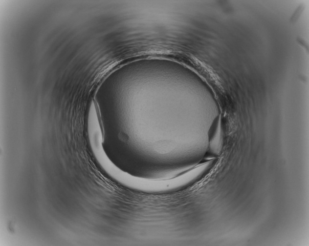 X0000097781169200803281655