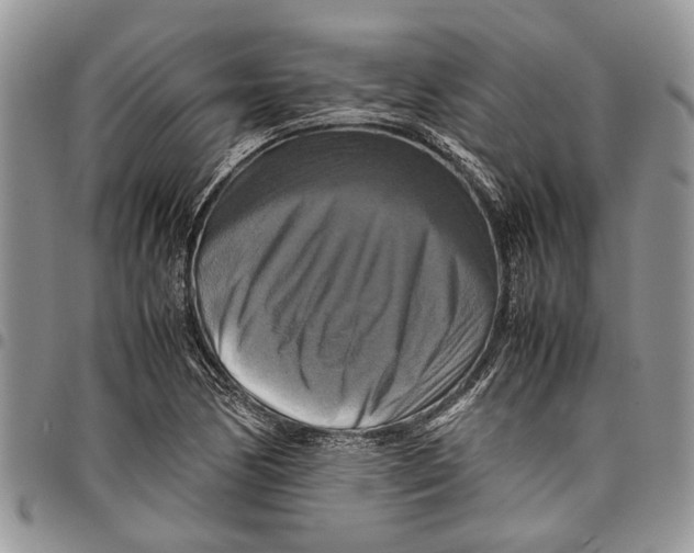 X0000097781170200803281655