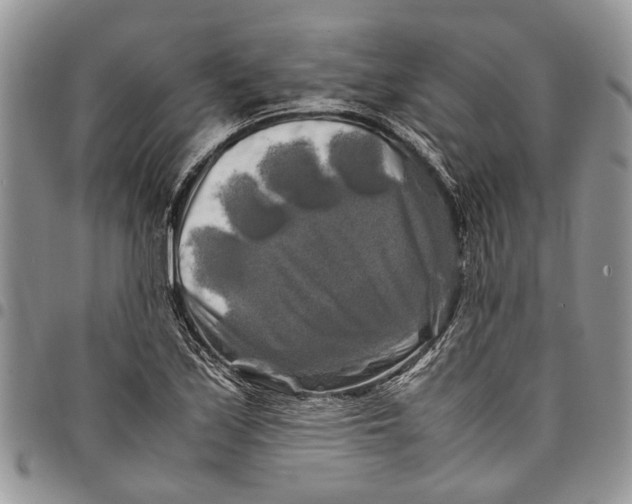 X0000097781171200803281655