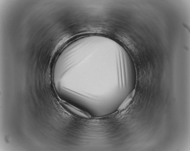 X0000097781172200803281655