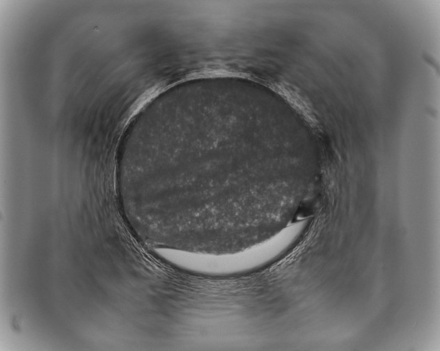 X0000097781173200803281655