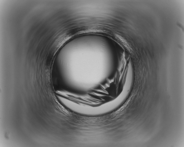 X0000097781177200803281655