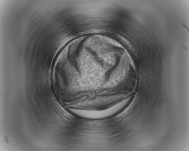 X0000097781178200803281655