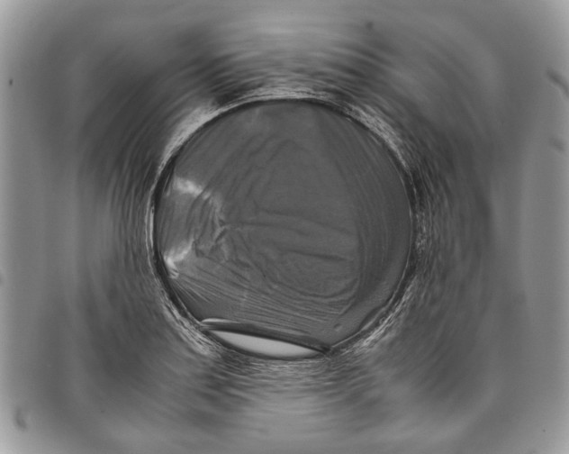 X0000097781179200803281655