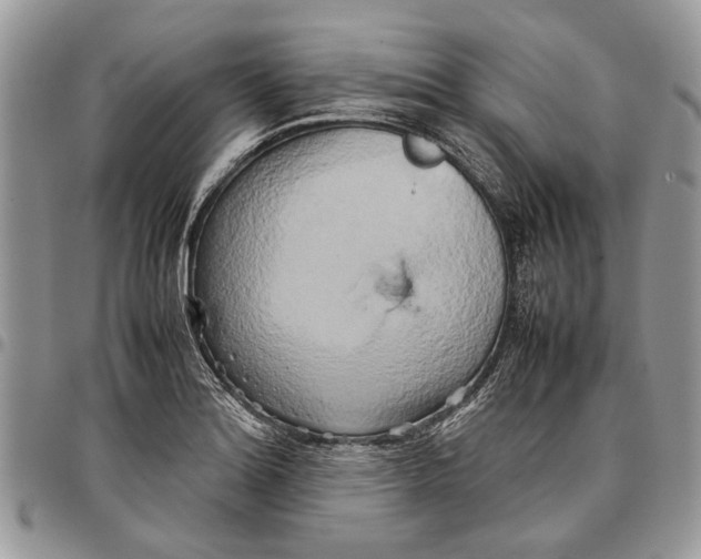 X0000097781180200803281655