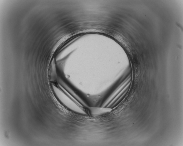 X0000097781181200803281655