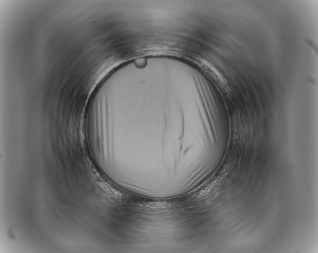 X0000097781182200803281655