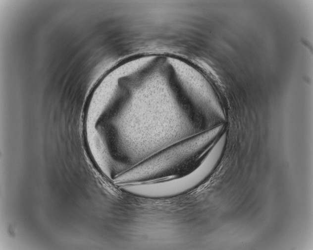 X0000097781183200803281655