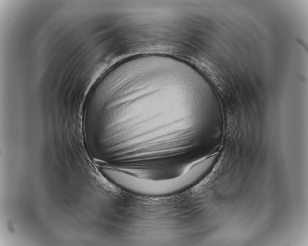 X0000097781184200803281655