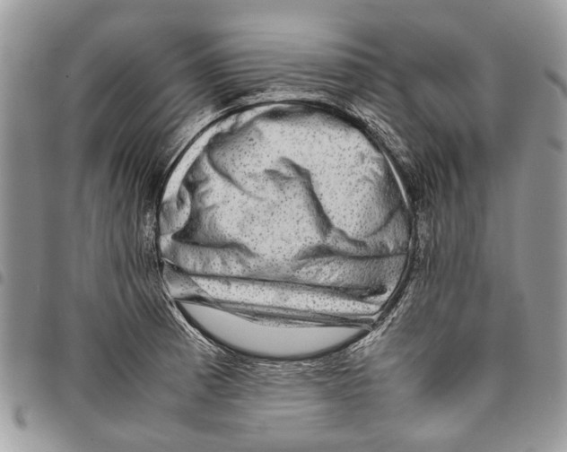 X0000097781185200803281655