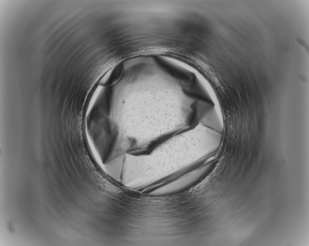 X0000097781186200803281655