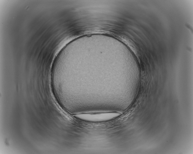 X0000097781187200803281655