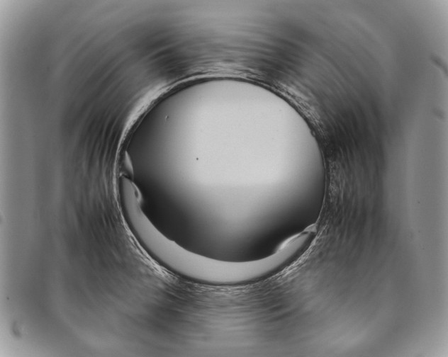 X0000097781188200803281655