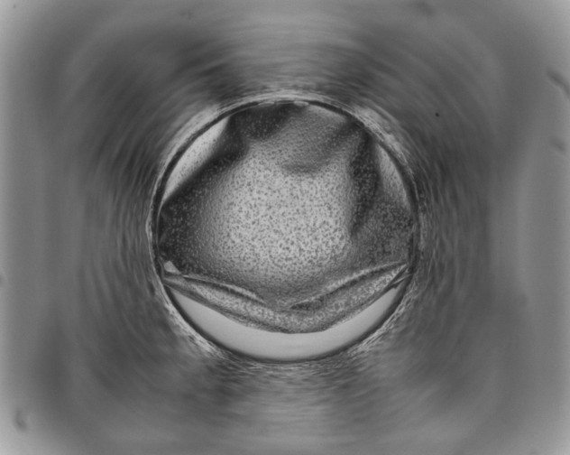 X0000097781189200803281655