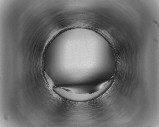 X0000097781192200803281655