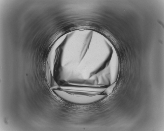 X0000097781193200803281655