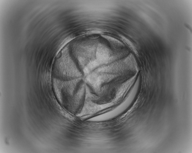 X0000097781194200803281655