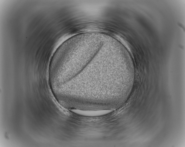 X0000097781195200803281655