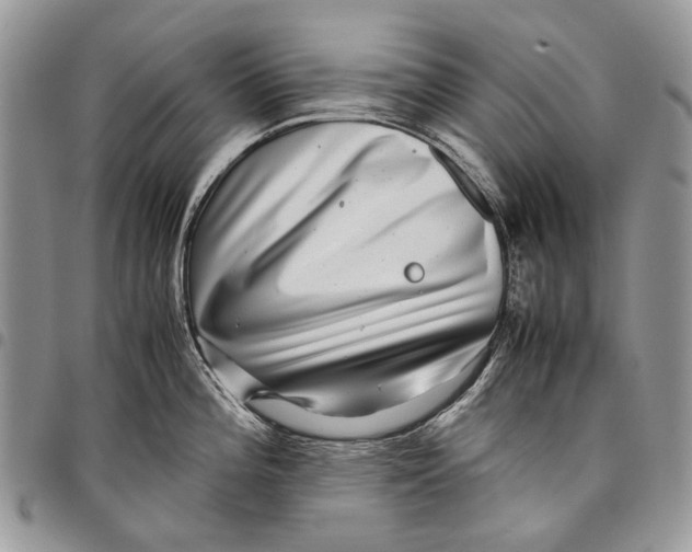 X0000097781196200803281655