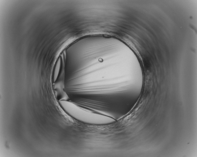 X0000097781197200803281655