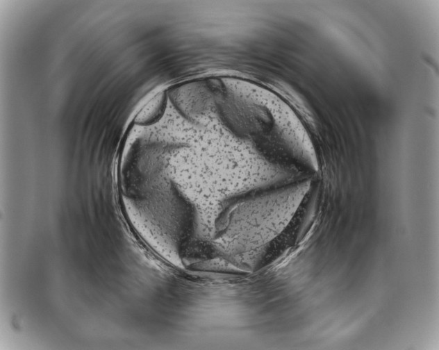 X0000097781198200803281655