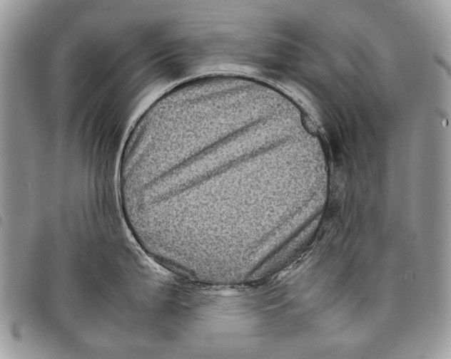 X0000097781199200803281655