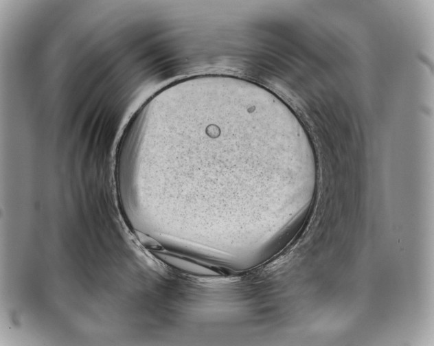 X0000097781200200803281655