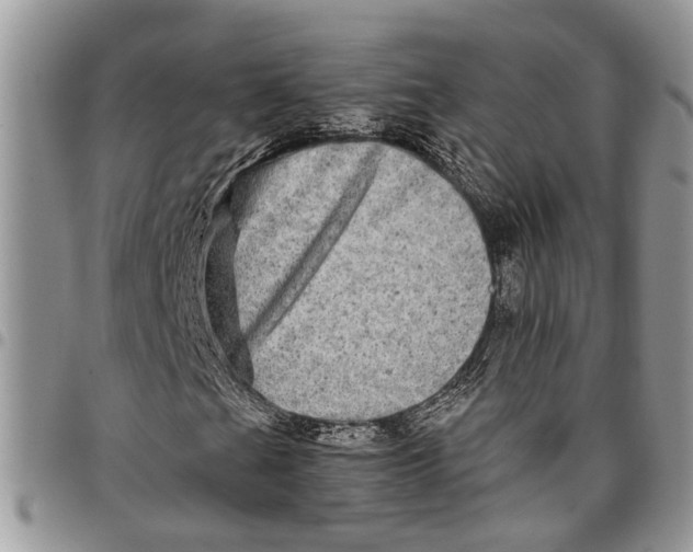 X0000097781201200803281654