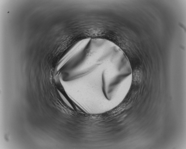 X0000097781202200803281654