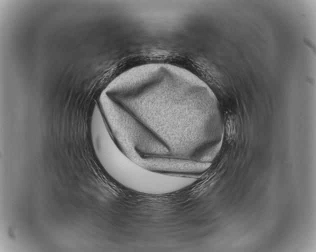 X0000097781204200803281654