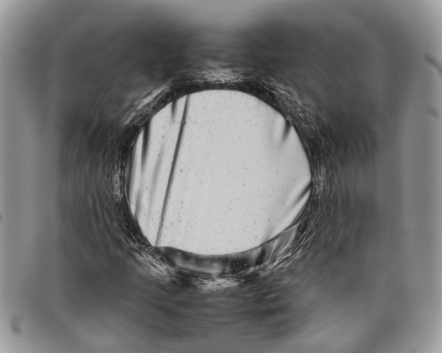 X0000097781205200803281654