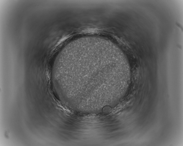 X0000097781206200803281654