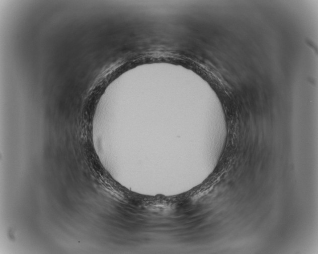 X0000097781207200803281654