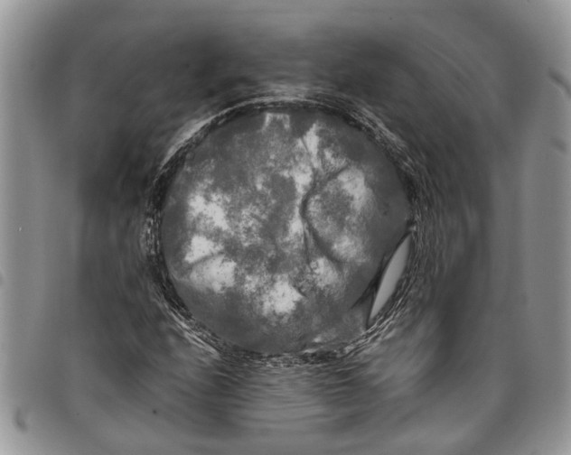 X0000097781208200803281654