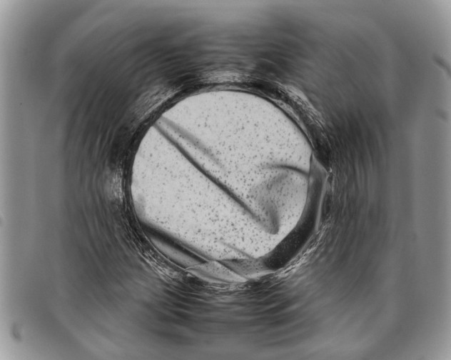 X0000097781209200803281654