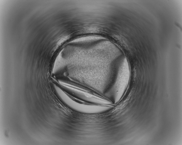 X0000097781210200803281654