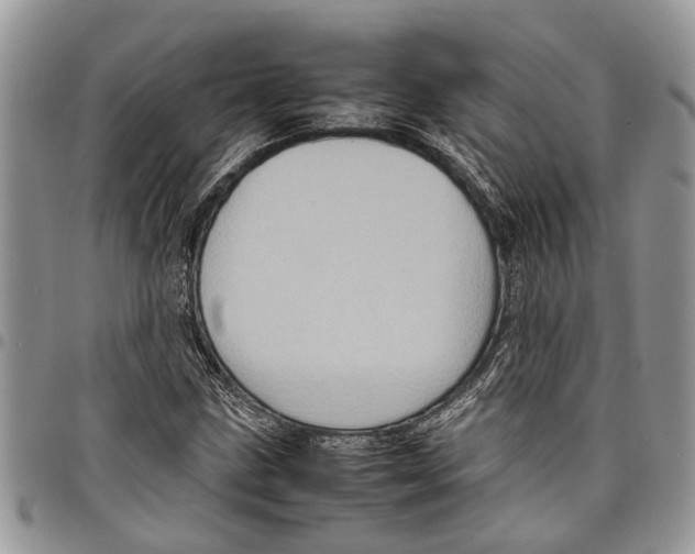 X0000097781211200803281654