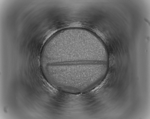 X0000097781212200803281654