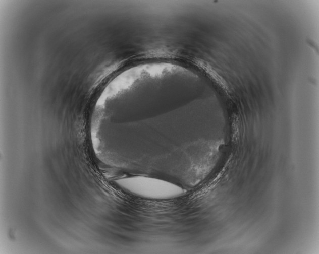 X0000097781213200803281654