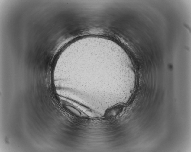 X0000097781214200803281654