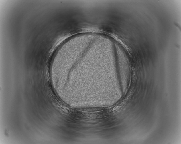 X0000097781215200803281654