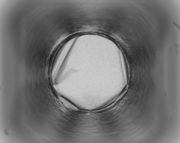 X0000097781216200803281654