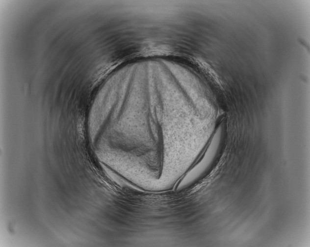 X0000097781217200803281654