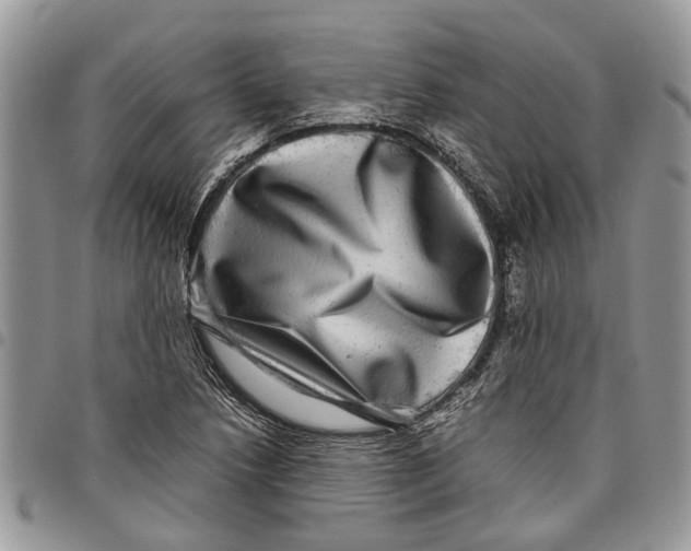 X0000097781218200803281654